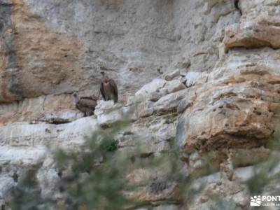 Cañón y Arrecife de Castrojimeno-Valdehornos; vall de laguar senderismo rutas por cabañeros tiendas 